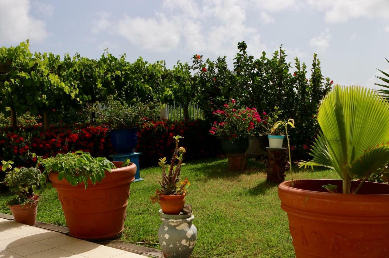 Bed & Breakfast 6 Suites Piscine Et Plage Pointe Faula Ле-Воклен Экстерьер фото